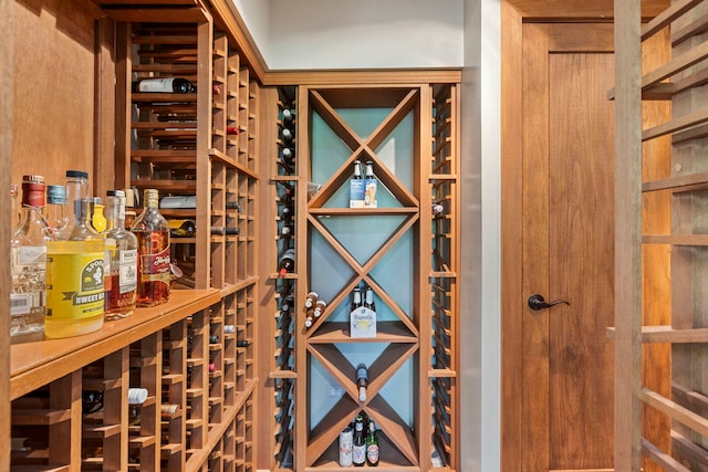 20142 N Deer Chase Ct, Deer Park, IL 60010 - view of wine room