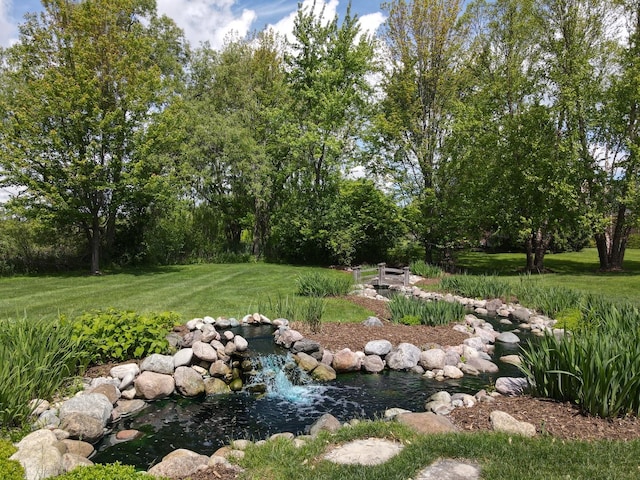 20142 N Deer Chase Ct, Deer Park, IL 60010 - view of grassy yard with a garden pond