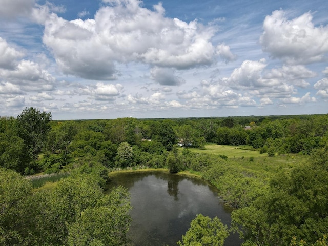 20142 N Deer Chase Ct, Deer Park, IL 60010 - drone / aerial view of a heavily wooded area and a nearby body of water