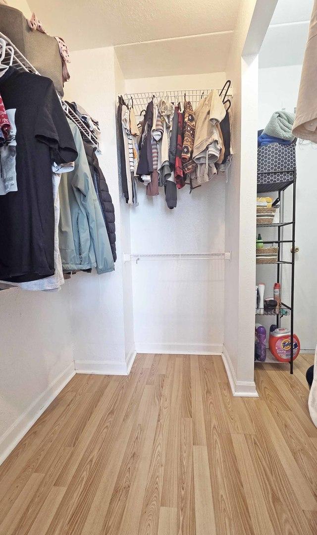 1 Renaissance Pl Unit 805, Palatine, IL 60067 - spacious closet with wood finished floors