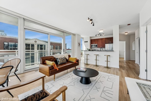 757 N Orleans St Unit 711, Chicago, IL 60654 - living room featuring light wood finished floors, healthy amount of natural light, a wall of windows, baseboards, and track lighting