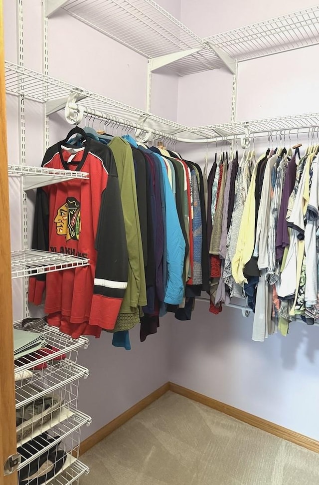 1716 Simms St Unit 0, Aurora, IL 60504 - walk in closet featuring carpet flooring