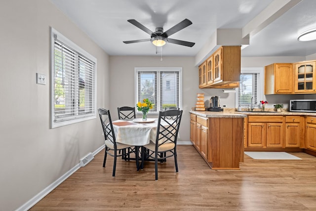 3050 Charles St, Melrose Park, IL 60164 - kitchen featuring stainless steel microwave, light wood-type flooring, and healthy amount of natural light