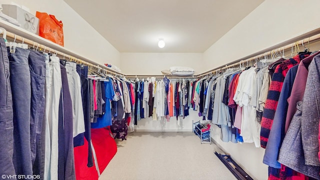 20195 Augusta Dr, Olympia Fields, IL 60461 - spacious closet featuring carpet floors