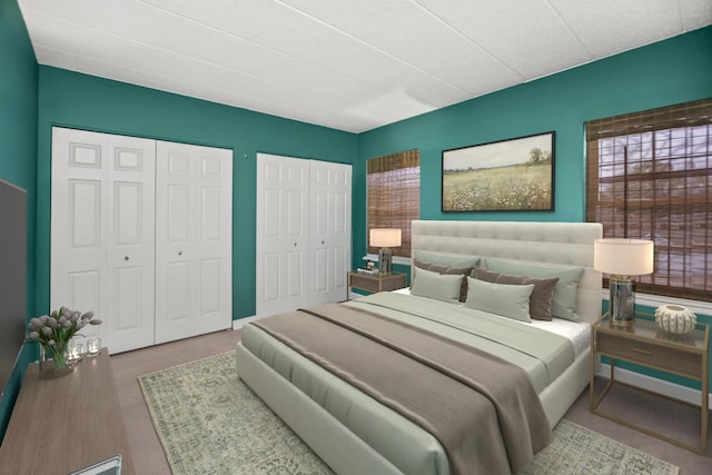 17212 Oak Park Ave Unit 2Sw, Tinley Park, IL 60477 - bedroom featuring two closets