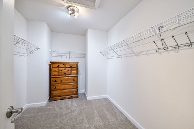 426 Victoria Ln Unit 426, Elgin, IL 60124 - spacious closet featuring carpet