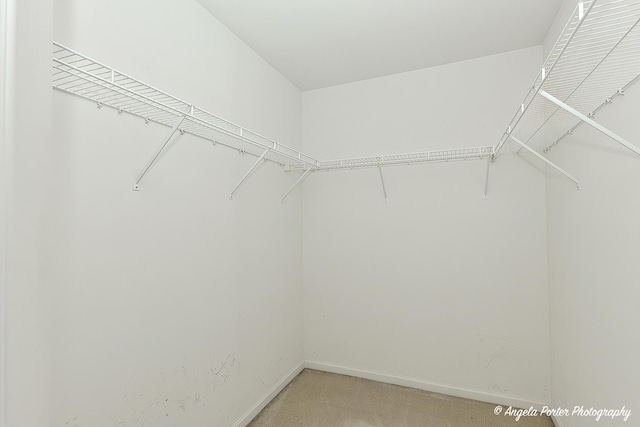 2704 Kendall Xing Unit 2704, Johnsburg, IL 60051 - walk in closet with light carpet
