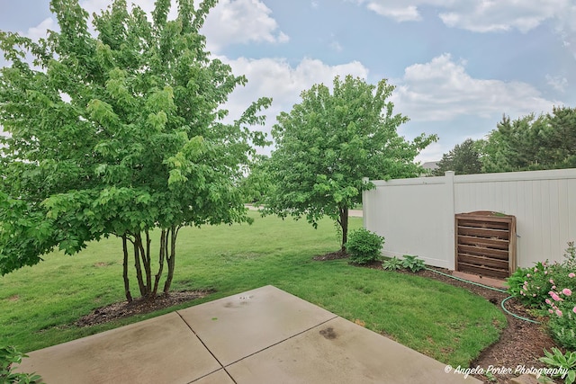 2704 Kendall Xing Unit 2704, Johnsburg, IL 60051 - view of yard with a patio