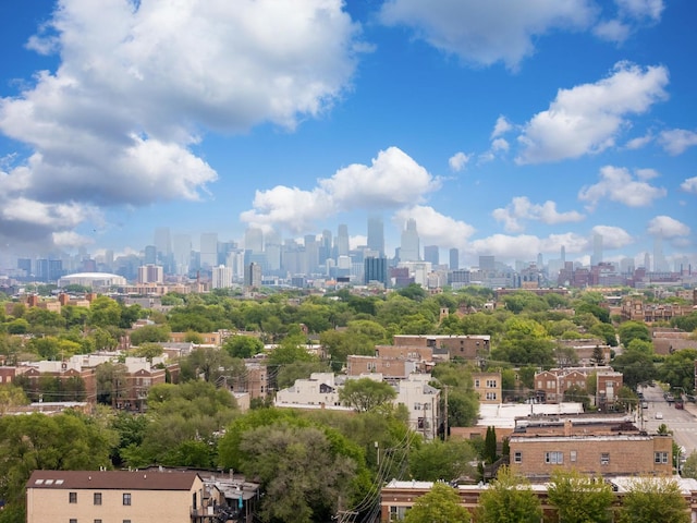 3340 W Polk St, Chicago, IL 60624 - view of city skyline