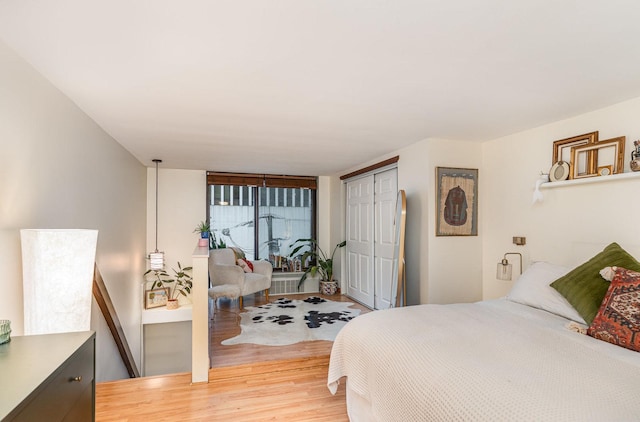 1221 N Dearborn St Unit 207N, Chicago, IL 60610 - bedroom with light wood-style flooring and a closet
