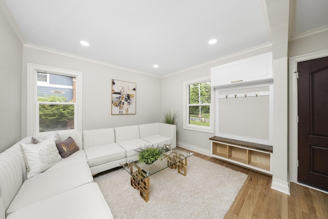 504 Newton Ave, Glen Ellyn, IL 60137 - living area with light wood finished floors, crown molding, recessed lighting, and baseboards