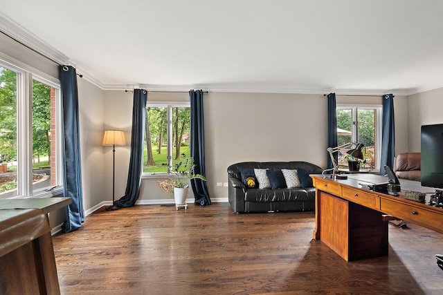 10 Black Walnut Trl, Palos Park, IL 60464 - office area with crown molding, healthy amount of natural light, and dark wood-style floors