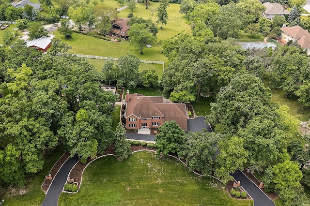 10 Black Walnut Trl, Palos Park, IL 60464 - bird's eye view of a tree filled landscape