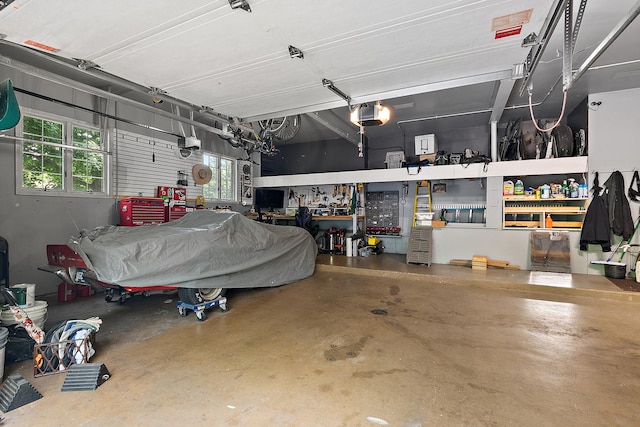 10 Black Walnut Trl, Palos Park, IL 60464 - garage with a garage door opener