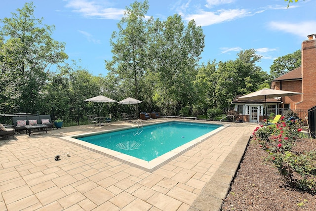 10 Black Walnut Trl, Palos Park, IL 60464 - view of swimming pool with a patio, an outdoor hangout area, and view of scattered trees