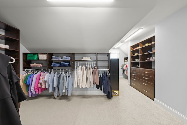 4328 Chinaberry Ln, Naperville, IL 60564 - walk in closet with carpet and vaulted ceiling