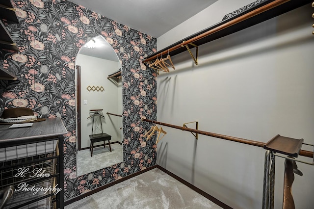 1402 Winaki Trl, Algonquin, IL 60102 - walk in closet featuring carpet floors and arched walkways