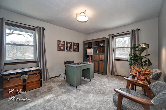1402 Winaki Trl, Algonquin, IL 60102 - home office with light colored carpet, baseboards, and a textured ceiling