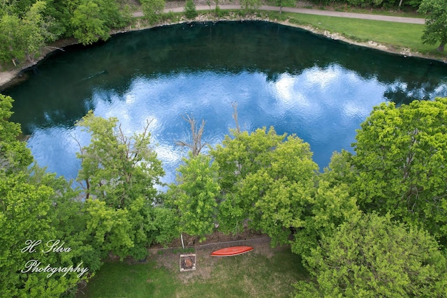 1402 Winaki Trl, Algonquin, IL 60102 - bird's eye view of a nearby body of water