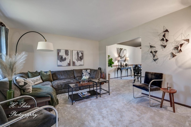 1402 Winaki Trl, Algonquin, IL 60102 - living area with carpet flooring
