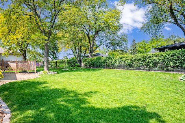 14207 Concord Dr, Orland Park, IL 60462 - view of yard