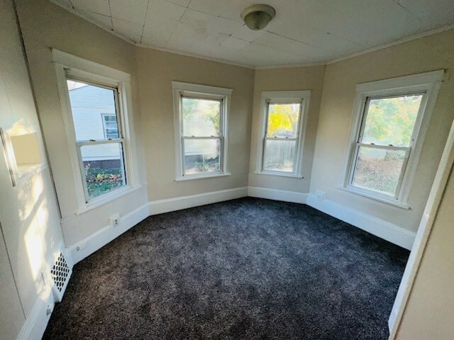 259 N Evergreen Ave, Kankakee, IL 60901 - unfurnished sunroom with plenty of natural light