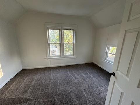 259 N Evergreen Ave, Kankakee, IL 60901 - additional living space with lofted ceiling, dark colored carpet, and baseboards