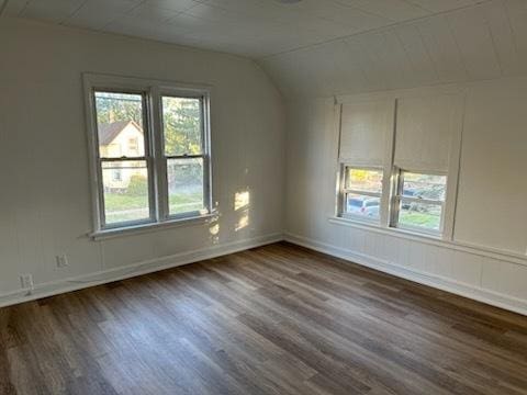 259 N Evergreen Ave, Kankakee, IL 60901 - empty room featuring dark wood-style floors, vaulted ceiling, and baseboards