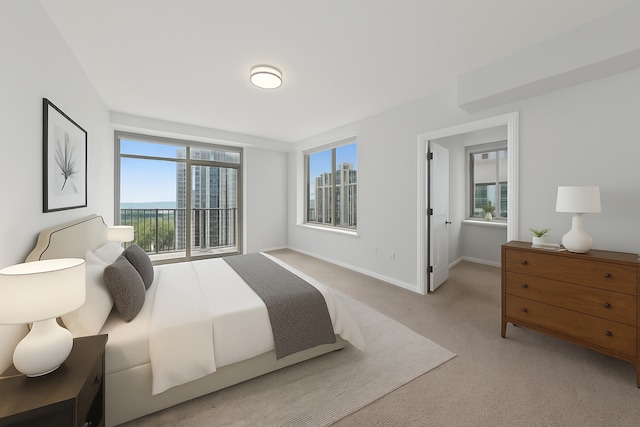 1250 S Indiana Ave Unit 1301, Chicago, IL 60605 - carpeted bedroom with baseboards