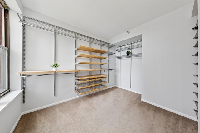1250 S Indiana Ave Unit 1301, Chicago, IL 60605 - walk in closet featuring carpet