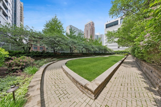 1250 S Indiana Ave Unit 1301, Chicago, IL 60605 - view of community with a view of city