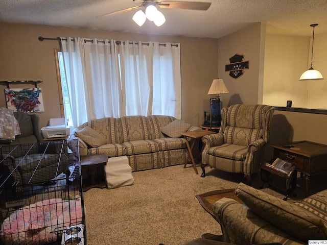 470 Alvord, Hamilton, IL 62341 - carpeted living area with plenty of natural light, a ceiling fan, and a textured ceiling