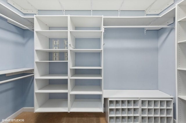233 E 13th St Unit 1902, Chicago, IL 60605 - view of spacious closet