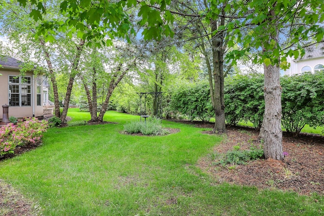 3536 Scottsdale Cir, Naperville, IL 60564 - view of grassy yard