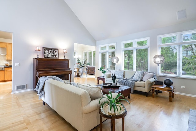 3536 Scottsdale Cir, Naperville, IL 60564 - living area with high vaulted ceiling and light wood-style floors