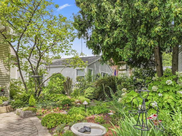 1339 N Dunton Ave, Arlington Heights, IL 60004 - photo 18