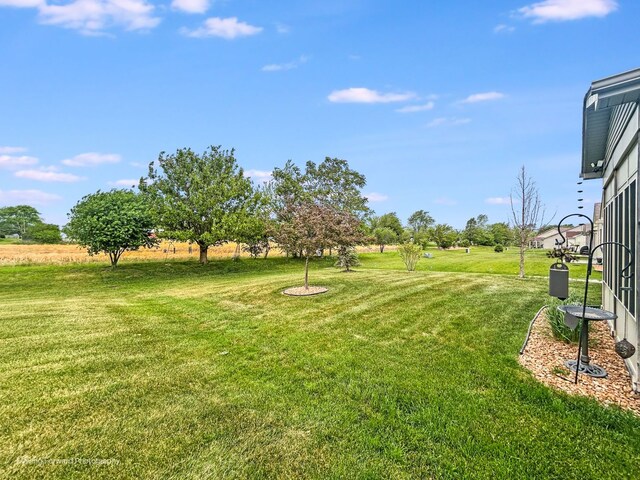 16812 Balaton Dr, Lockport, IL 60441 - photo 16