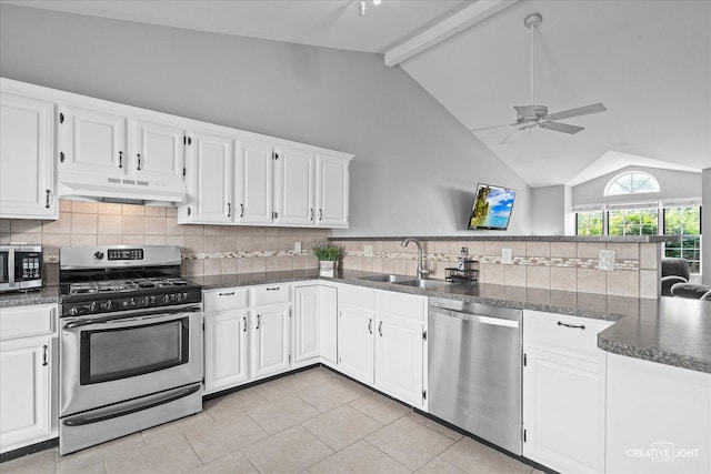 303 Meadows Dr, Sugar Grove, IL 60554 - kitchen featuring under cabinet range hood, appliances with stainless steel finishes, a sink, a peninsula, and ceiling fan