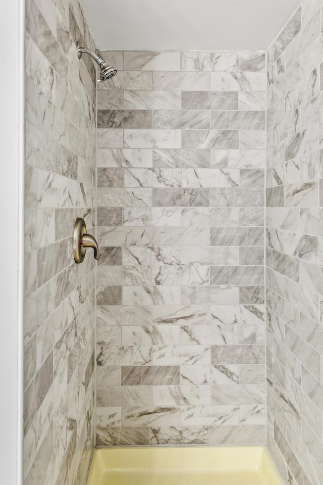 922 E 155th St, Phoenix, IL 60426 - bathroom with tiled shower