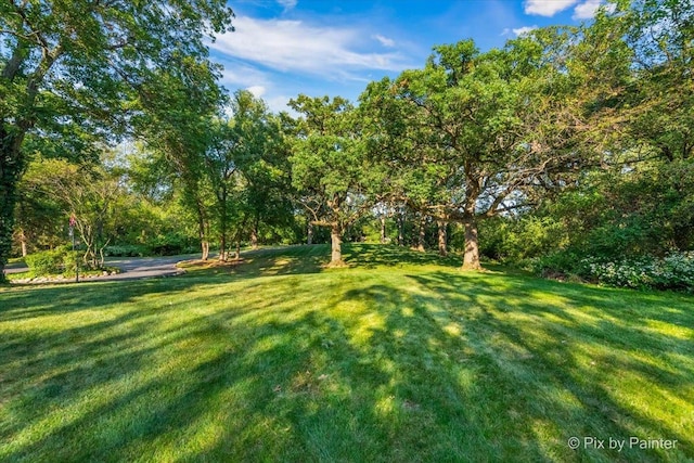 4915 Terra Cotta Rd, Crystal Lake, IL 60012 - view of green lawn