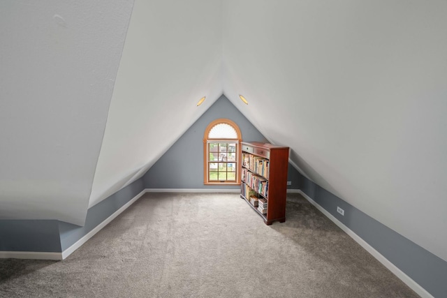 119 E 4th St, Sandwich, IL 60548 - additional living space with lofted ceiling, carpet, and baseboards