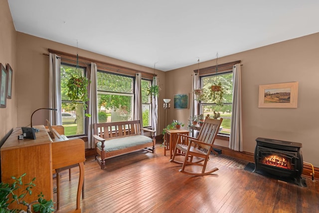 119 E 4th St, Sandwich, IL 60548 - living area with hardwood / wood-style flooring and a wood stove