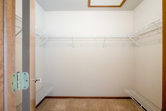 4707 Mikasa Ct, Joliet, IL 60431 - spacious closet with carpet