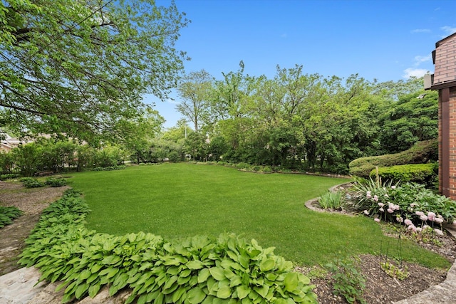 236 Country Club Rd, Chicago Heights, IL 60411 - view of green lawn