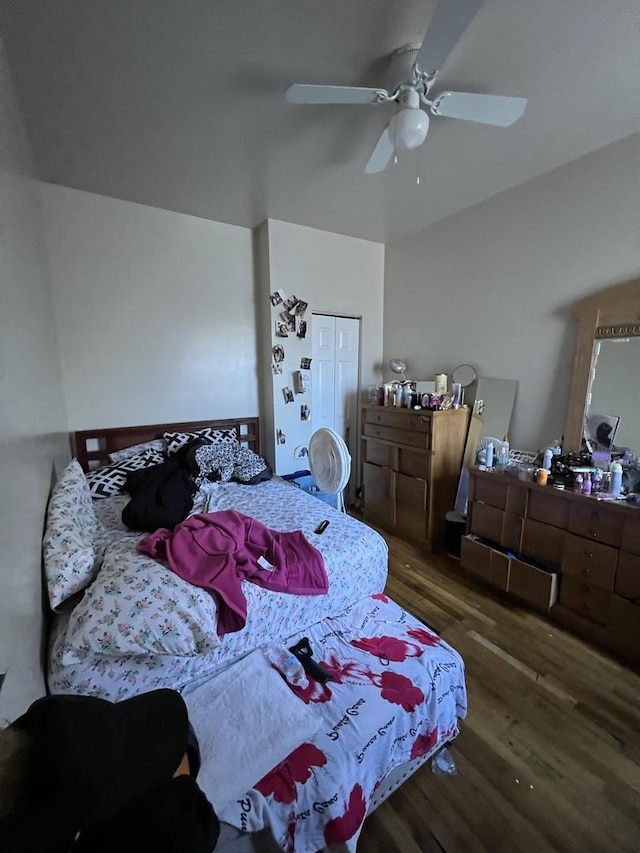 801 S Kedvale Ave, Chicago, IL 60624 - bedroom featuring wood finished floors, a closet, and ceiling fan