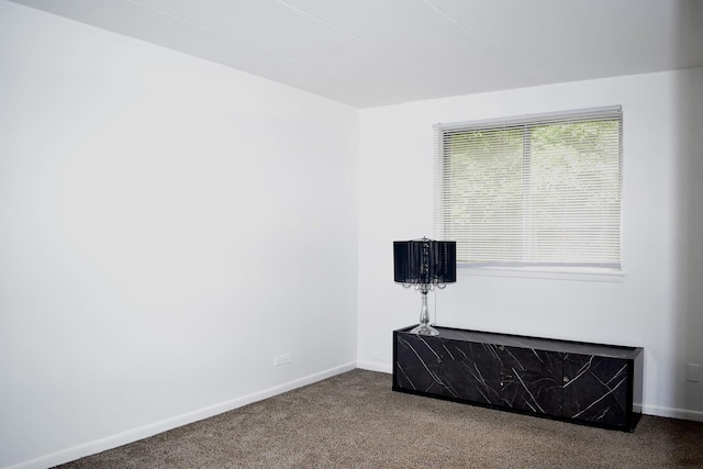 10241 Central Ave Unit 1B, Oak Lawn, IL 60453 - carpeted empty room with baseboards