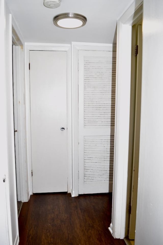 10241 Central Ave Unit 1B, Oak Lawn, IL 60453 - hall featuring wood finished floors