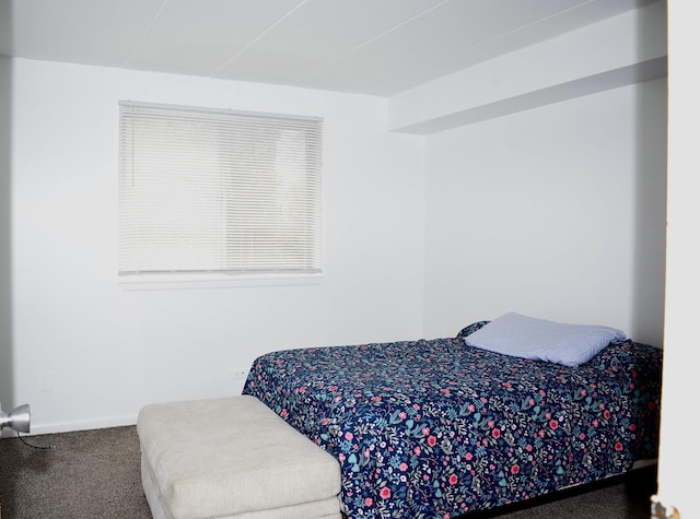 10241 Central Ave Unit 1B, Oak Lawn, IL 60453 - bedroom with carpet and baseboards
