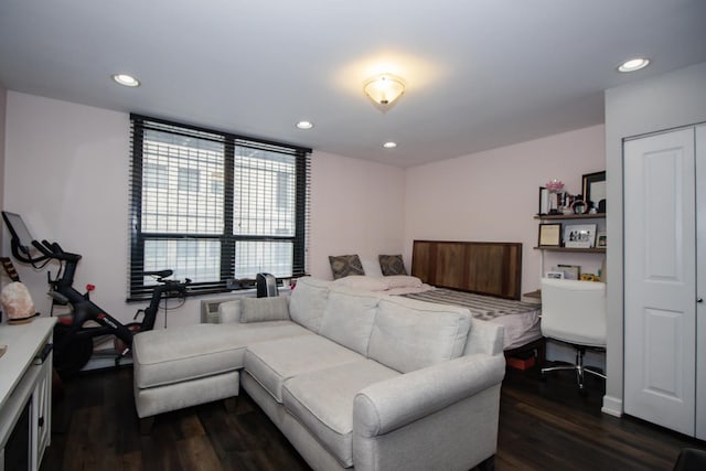 3900 N Pine Grove Ave Unit 203, Chicago, IL 60613 - bedroom featuring dark wood-style flooring and recessed lighting