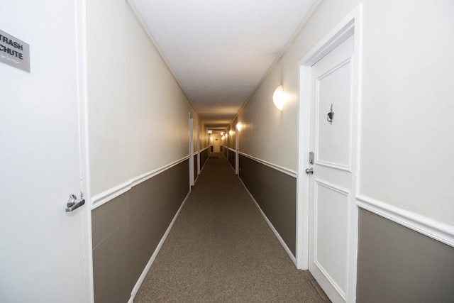 3900 N Pine Grove Ave Unit 203, Chicago, IL 60613 - corridor with carpet flooring and baseboards